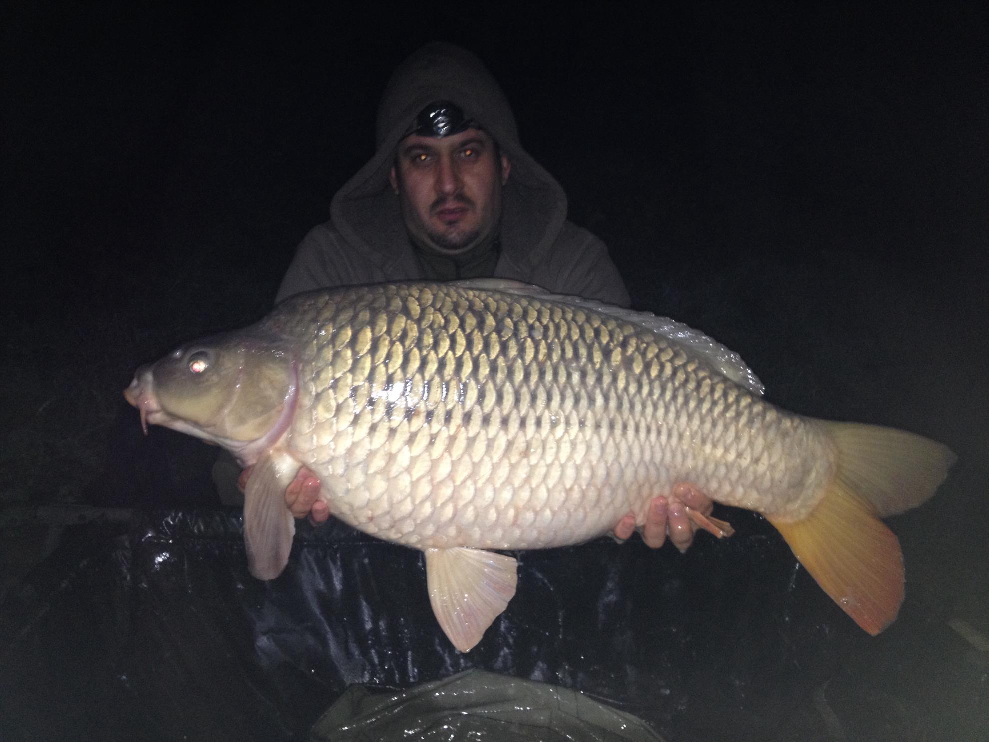 Harsany noiembrie 2013 - image111.jpg